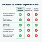 Harnais anti-traction