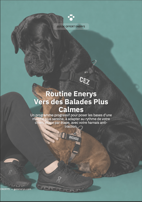 Ebook - Vers des balades plus calmes - Enerys Pets
