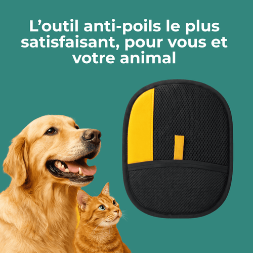 Gant anti-poils réutilisable Enerys - Enerys Home