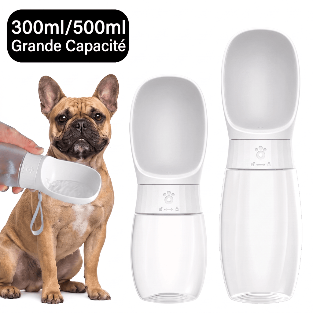 Gourde nomade Enerys - Enerys Home
