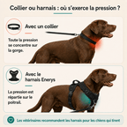Harnais anti-traction - Enerys Pets