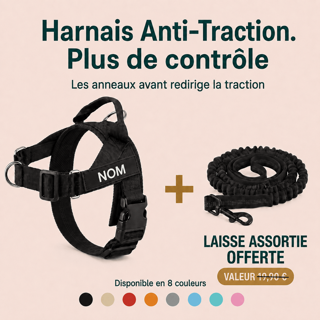 Harnais anti-traction - Enerys Pets