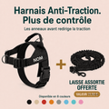 Harnais anti-traction - Enerys Pets