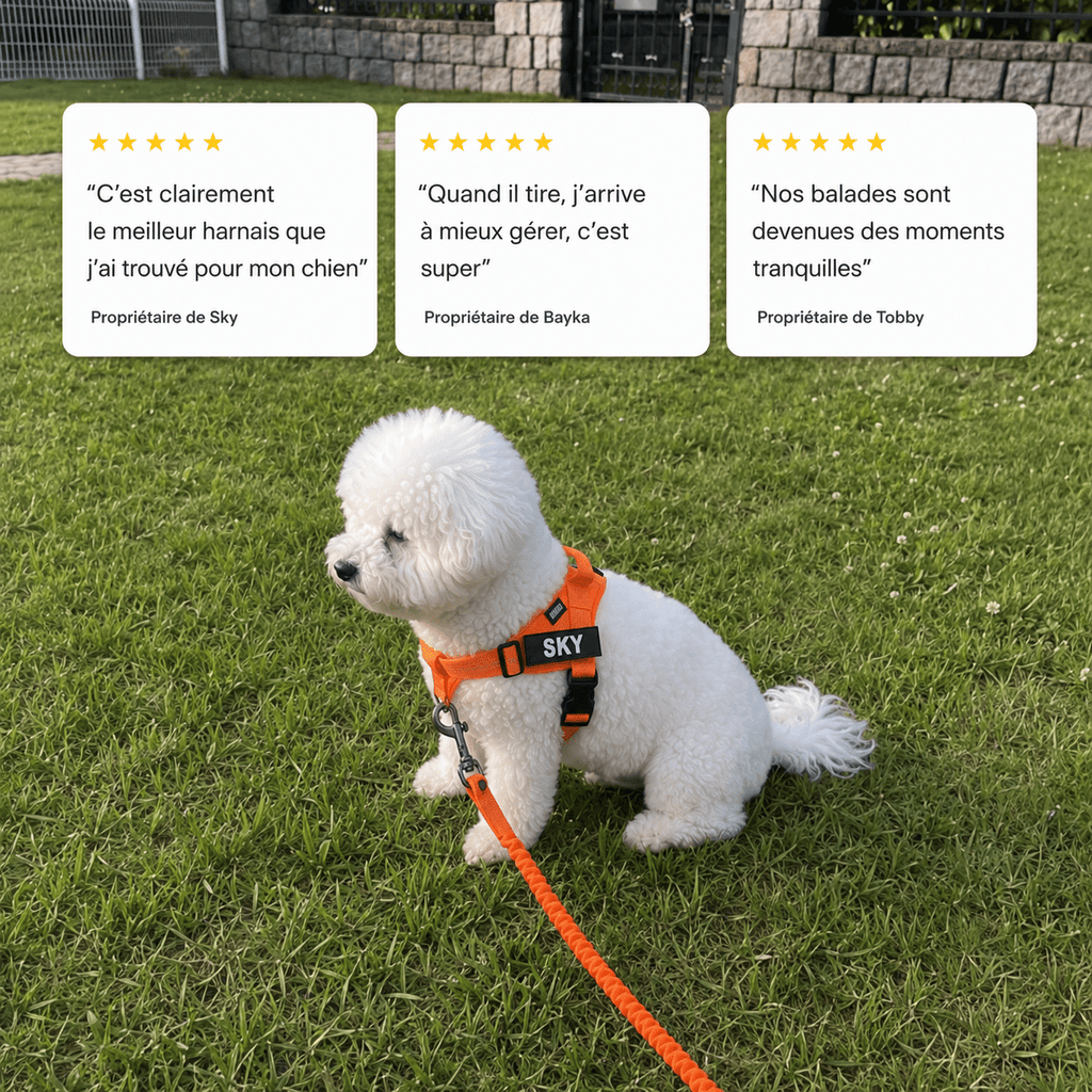 Harnais anti-traction - Enerys Pets