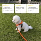 Harnais anti-traction - Enerys Pets