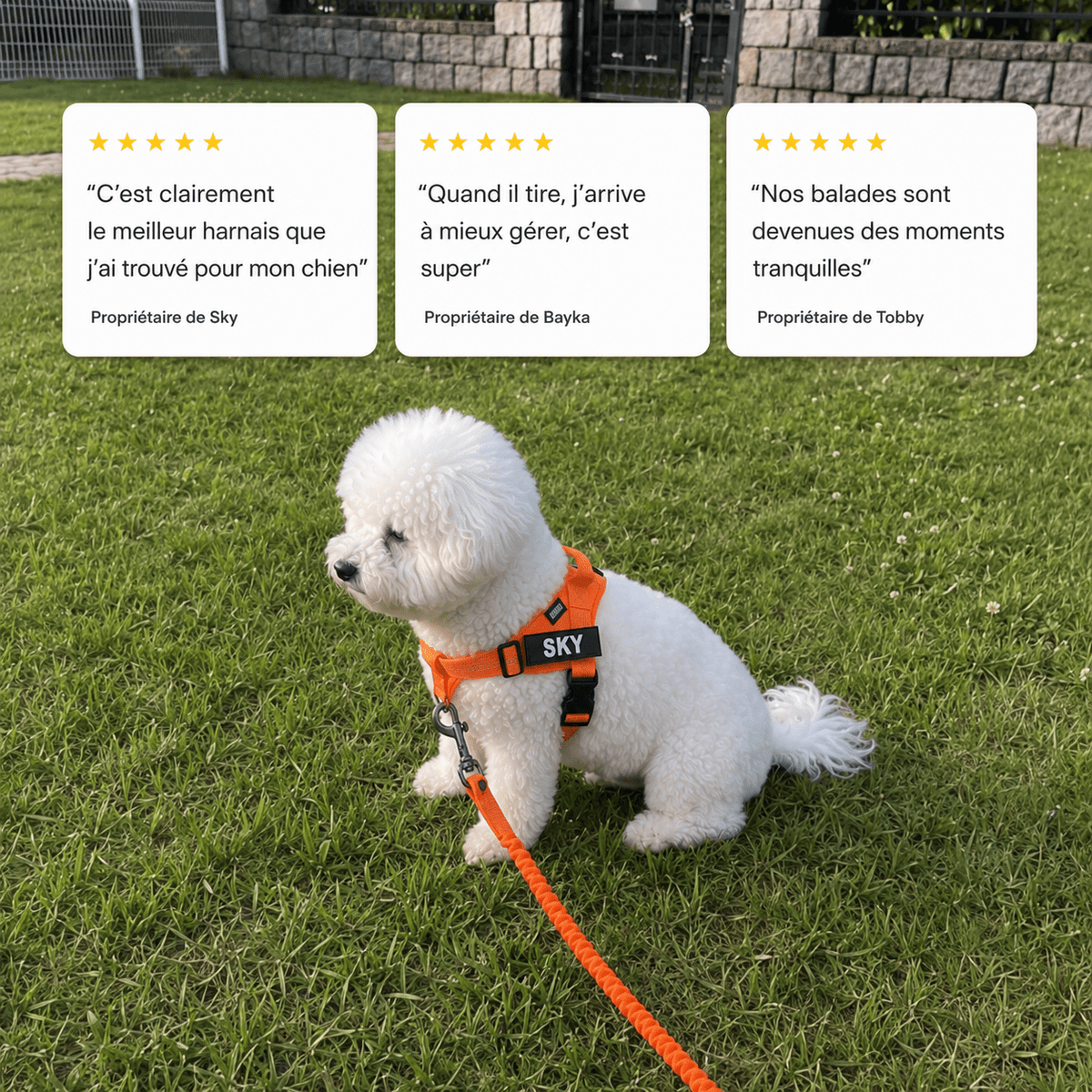 Harnais anti-traction - Enerys Pets
