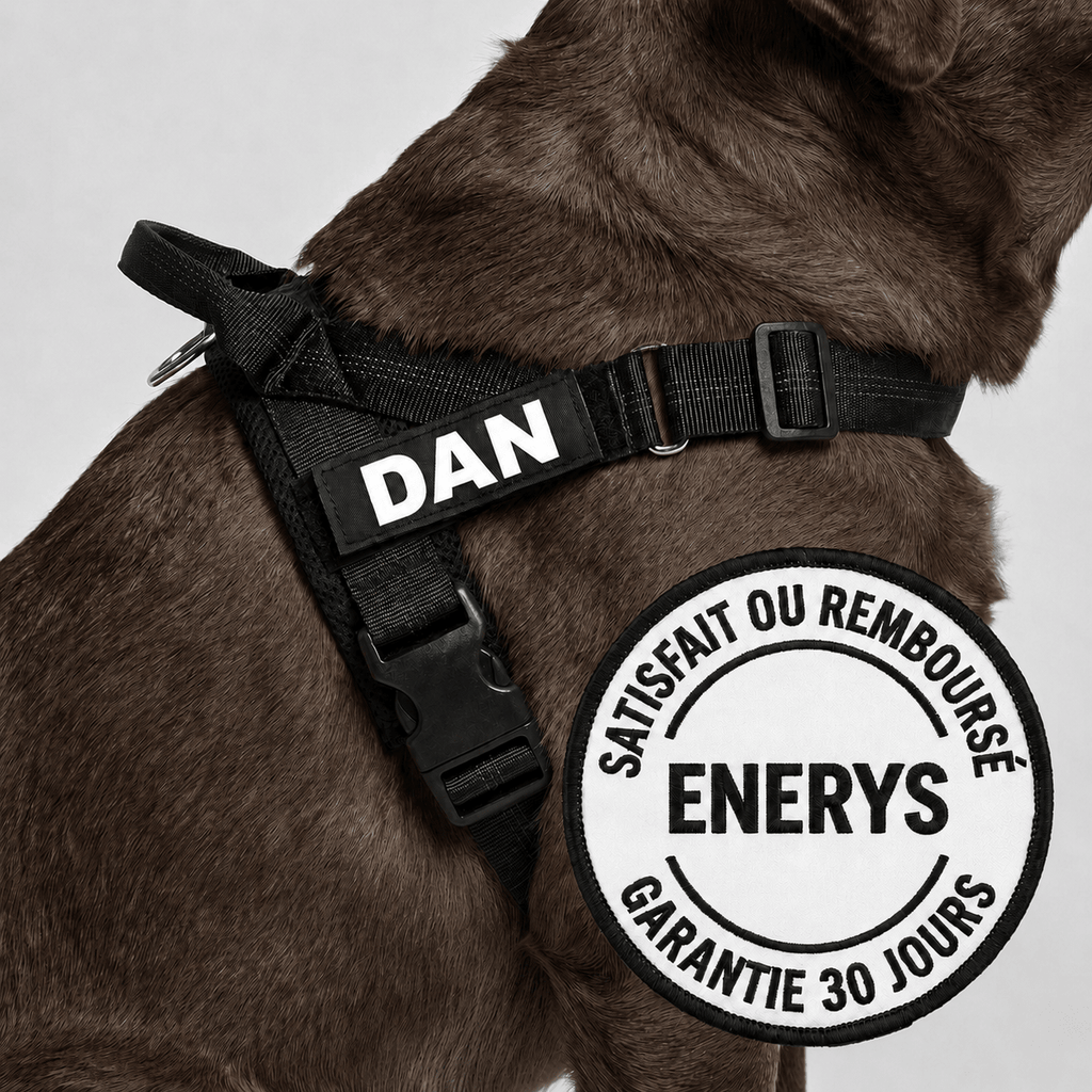 Harnais anti-traction - Enerys Pets