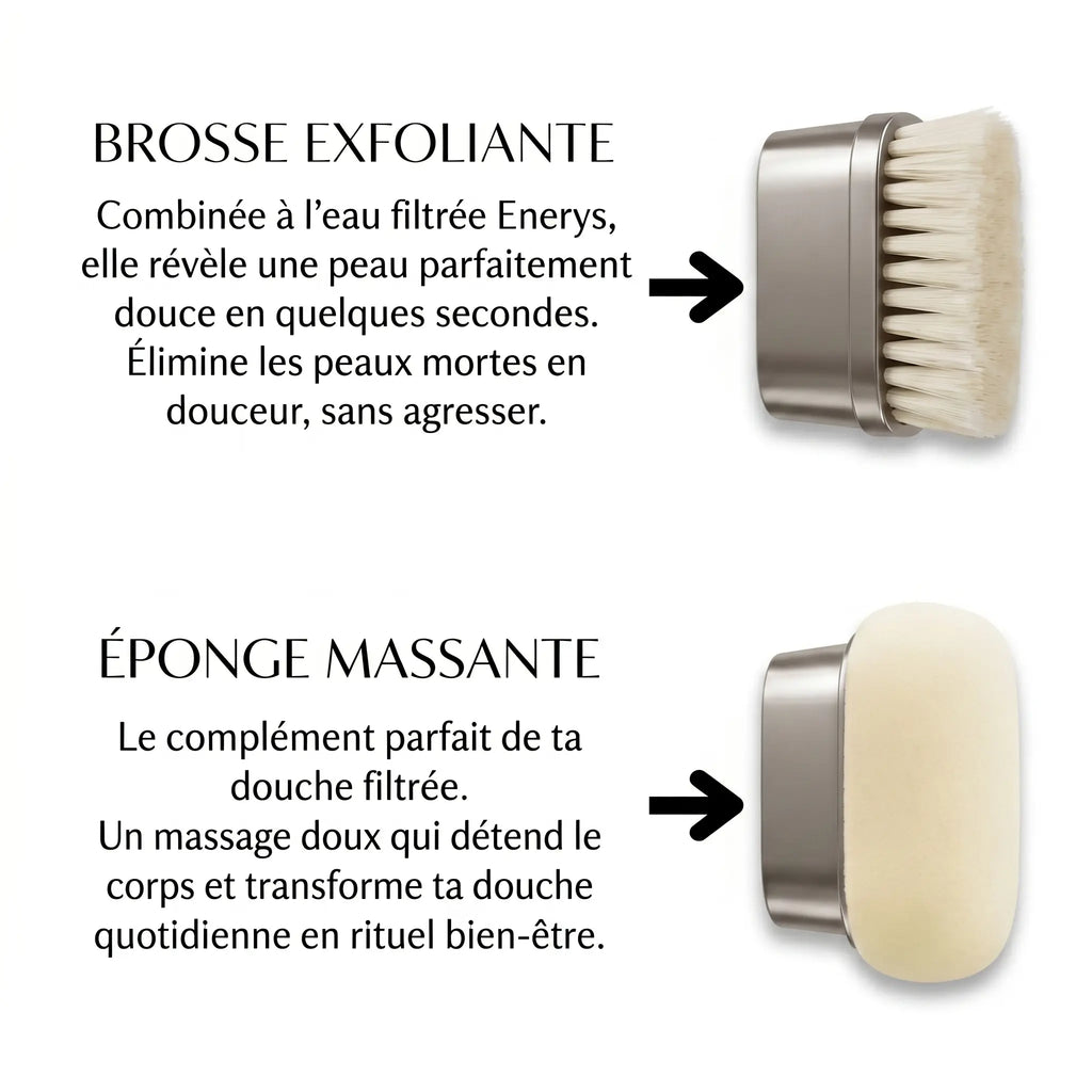 Pommeau de douche filtrant + brosse exfoliante et massante