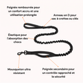 Laisse élastique pour chien, laisse robuste avec absorption des chocs, 2 poignées rembourrées