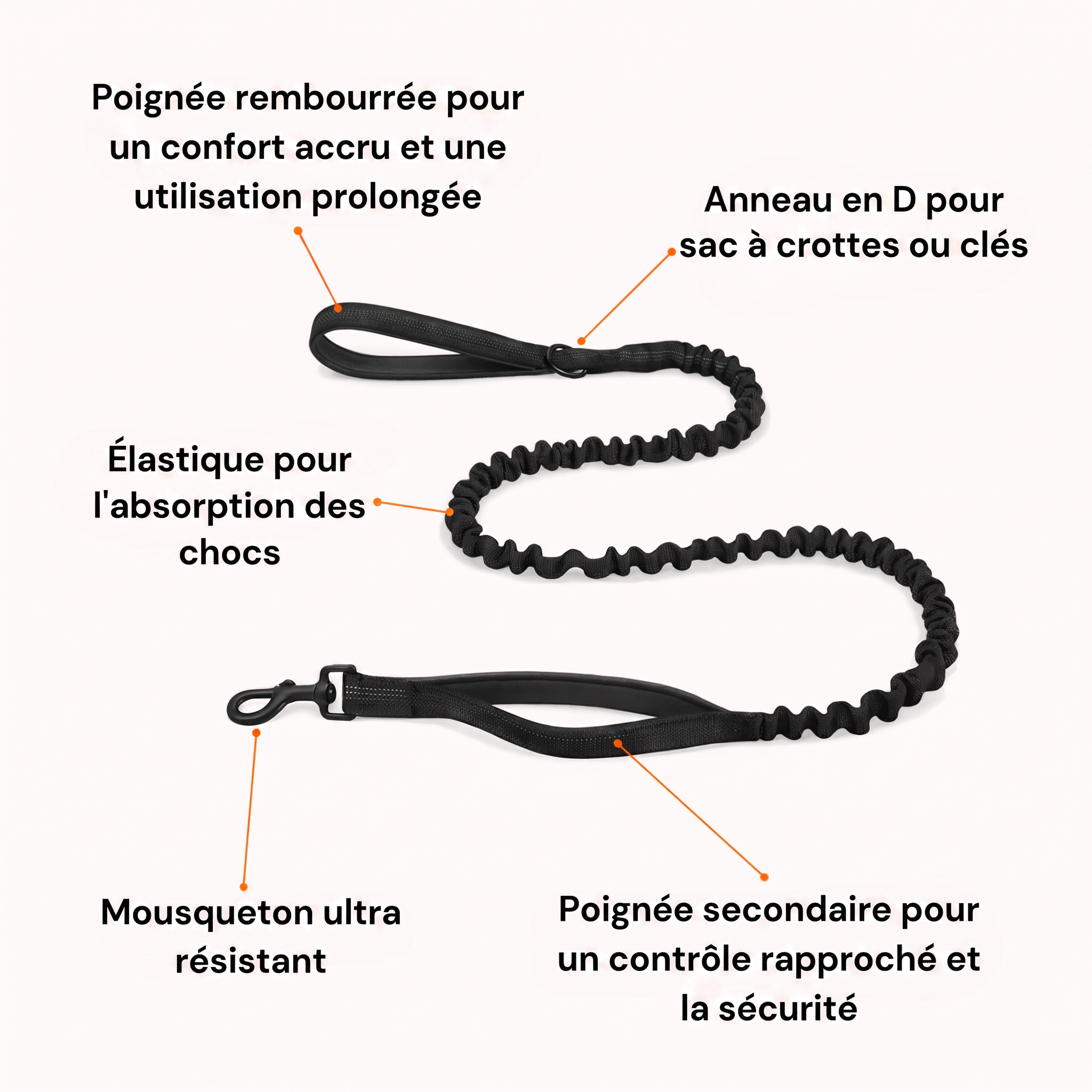 Laisse élastique pour chien, laisse robuste avec absorption des chocs, 2 poignées rembourrées